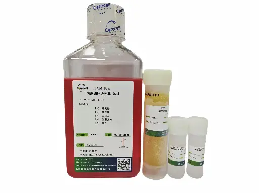 [Product_001] ECM 内皮细胞培养基